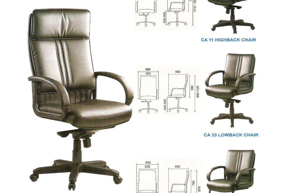 Director chair